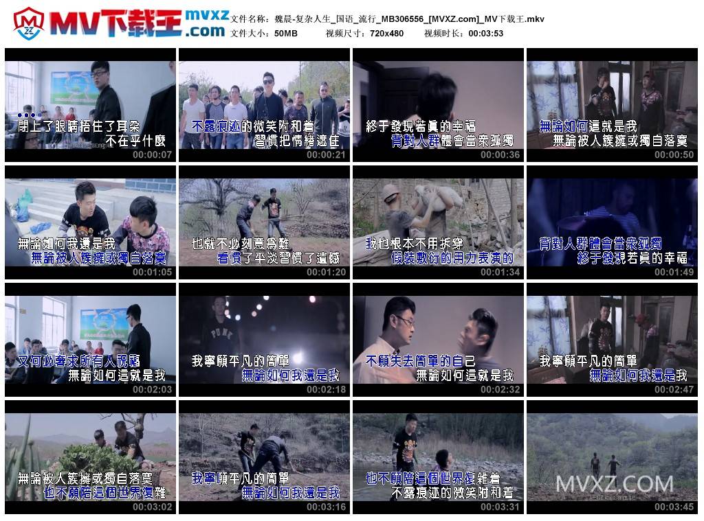 魏晨-复杂人生_国语_流行_MB306556